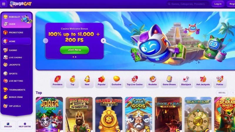Robocat Casino Interface